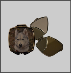 Compact Mirror